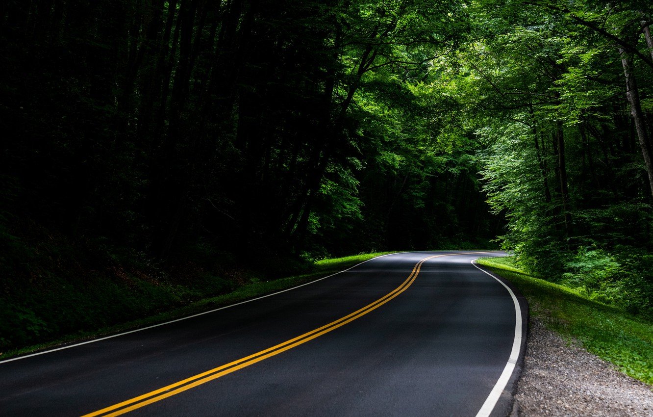 Green Road Images, HD Pictures For Free Vectors Download - Lovepik.com