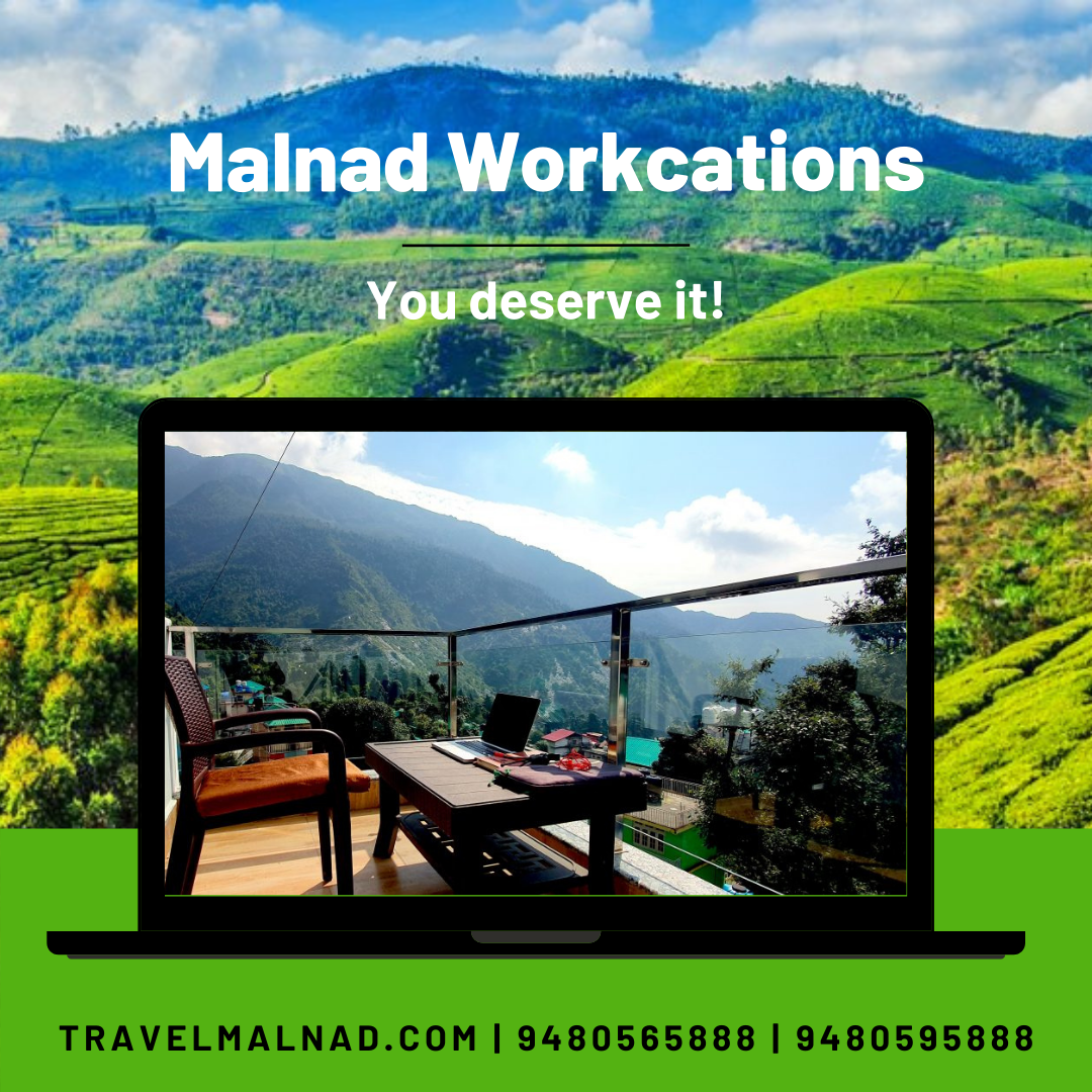 Luxury estate homestays in Malnad Karnataka and workations