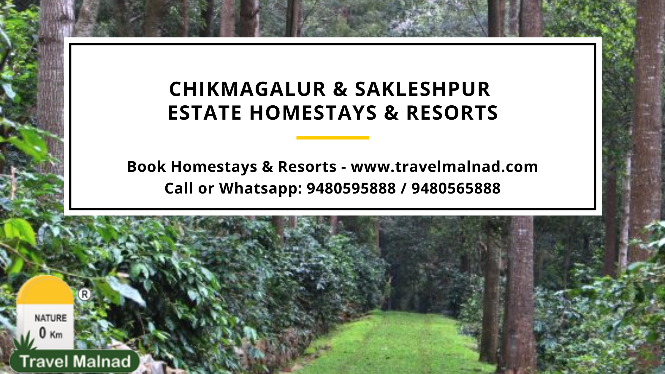 Chikmagalur and Sakleshpur homestays in Karnataka for weekend trip