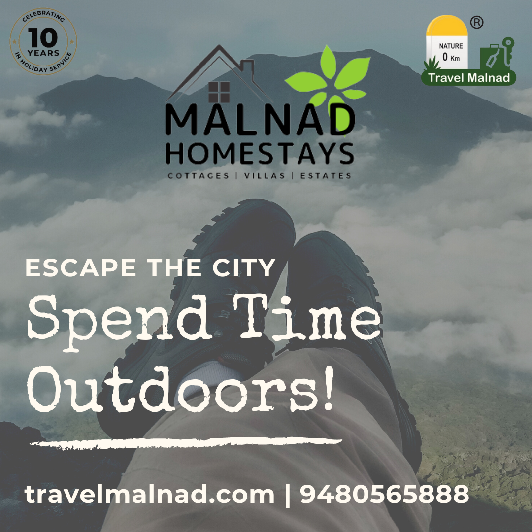 Monsoon in Malnad region and things to do during this season