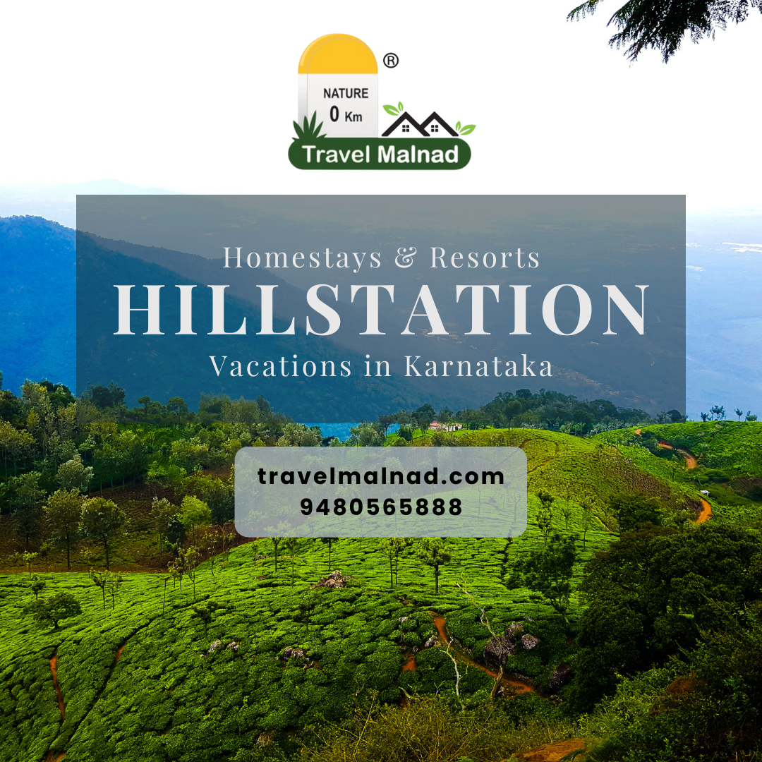 Top trending hillstation destinations with unique stays in Karnataka