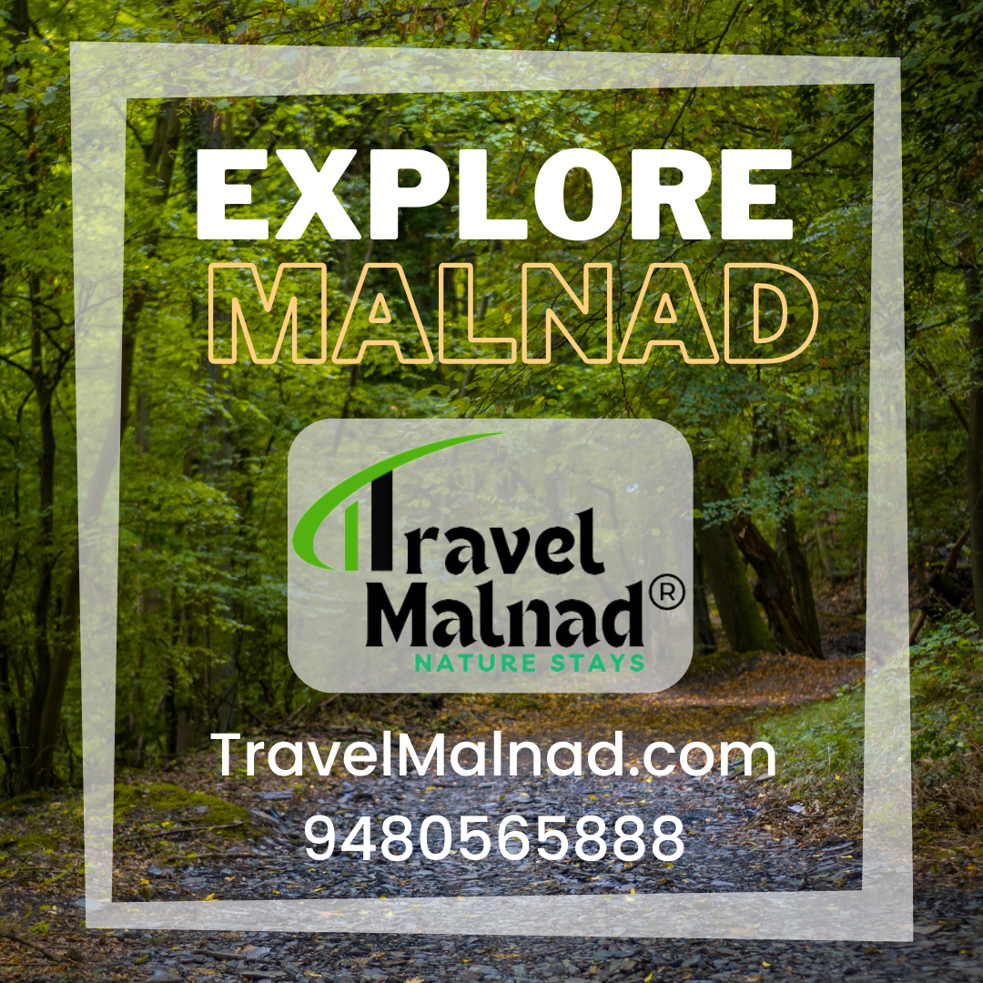 Speciality of malnad homestays accommodation