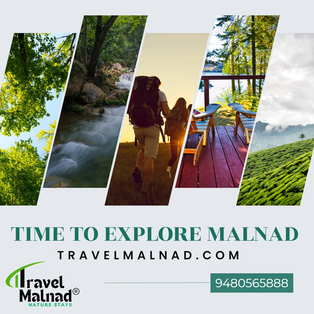 Exploring the Enchanting Malnad Region: A Homestays and Resorts Trip