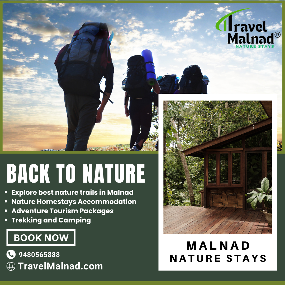 Nature stays with estate surroundings and adventure in Karnataka