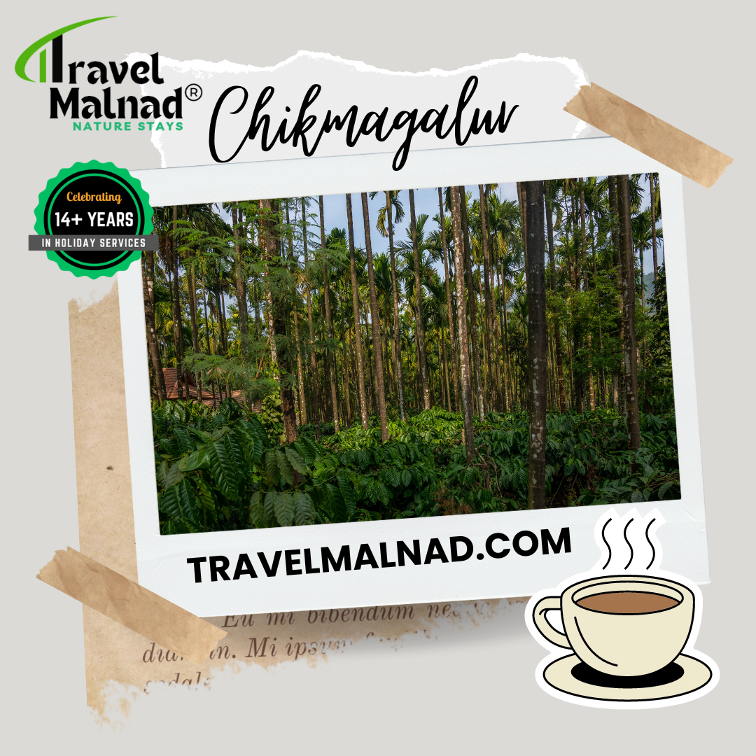 Chennai to Chikmagalur holiday itinerary