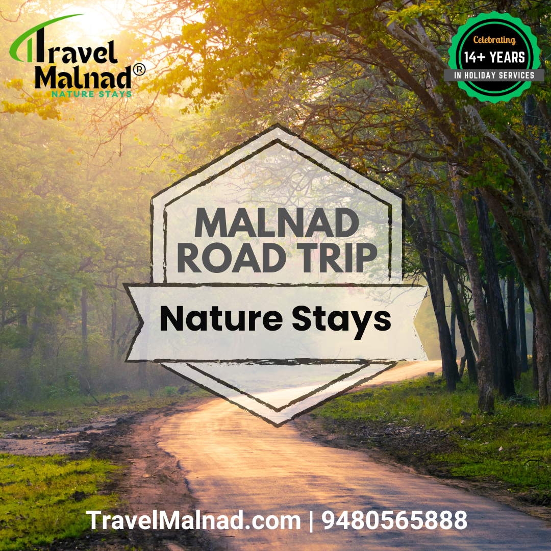 The trip planner to Malnad with beautiful stays