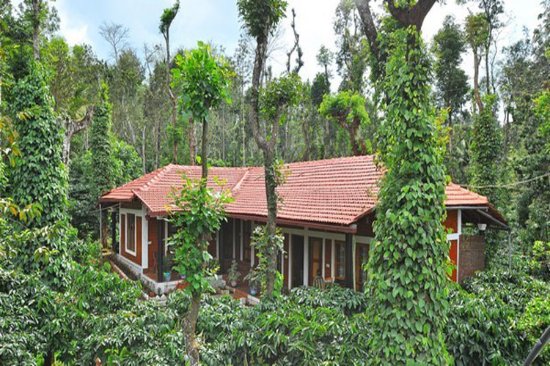 Estate Homestays in Malnad | Coffee Estate Homestay Karnataka | Plantation Stays in Malnad