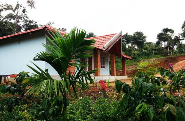 Forest Homestay