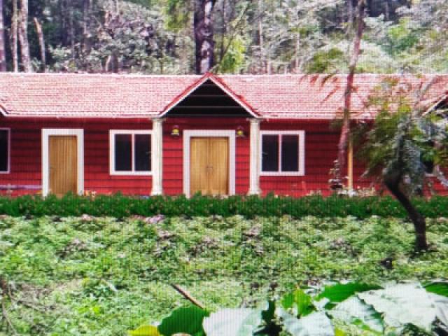 Canopy Green Homestay