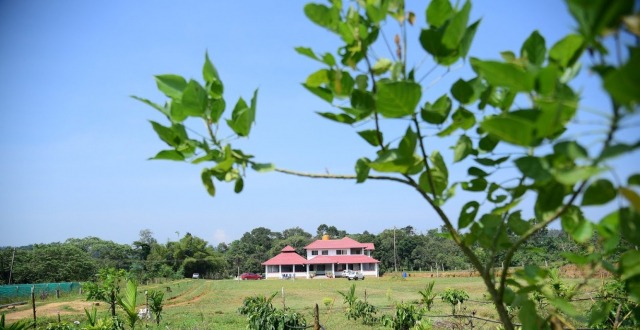 Rainbird Homestay