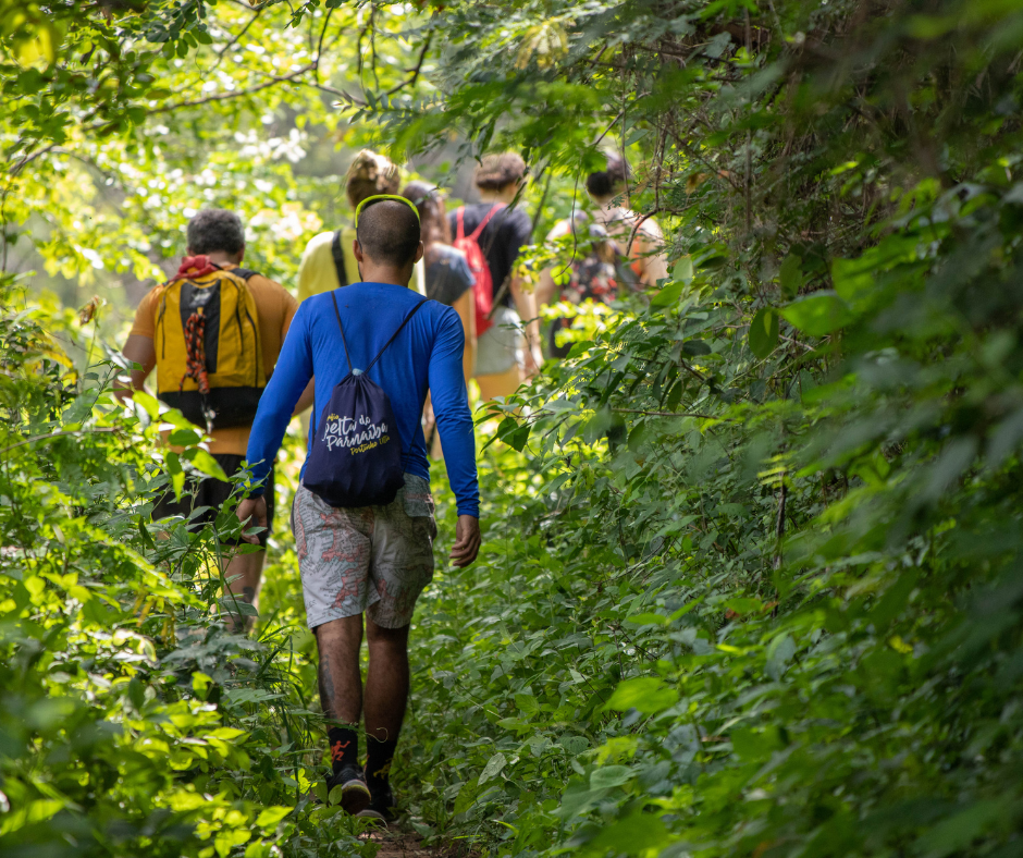 Trekking Stays in Malnad | Trekking Homestays in Malnad Region