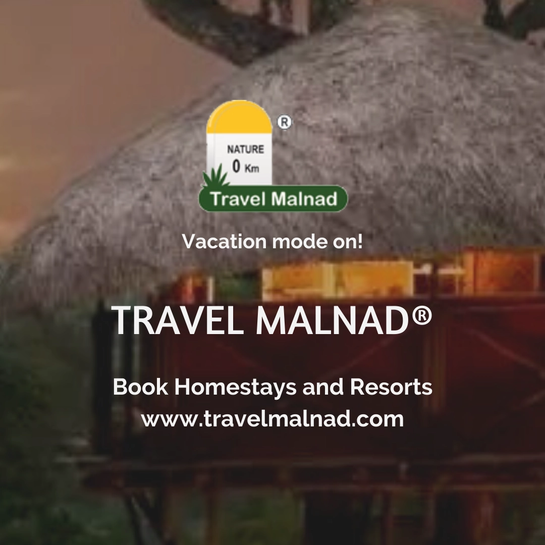 Travel Malnad